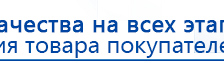 ДЭНАС-ПКМ купить в Пушкино, Аппараты Дэнас купить в Пушкино, Скэнар официальный сайт - denasvertebra.ru